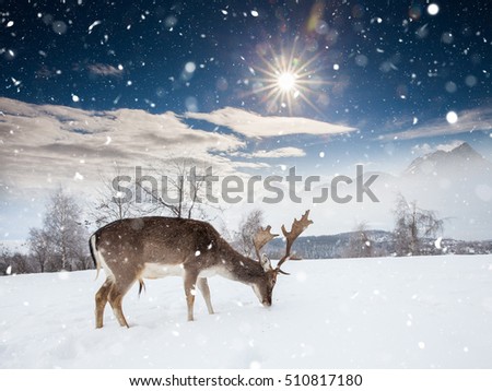 fairy-tale picture with deer in heavy snowfall