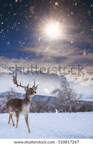 fairy-tale picture with deer in heavy snowfall