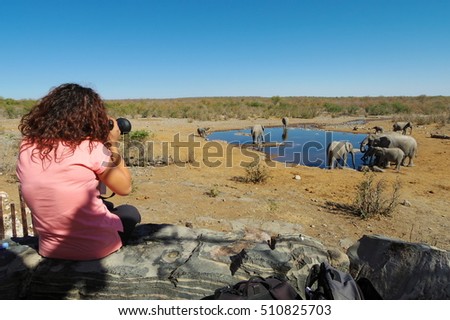 Woman takes pictures of a group of elephants at a waterhole, in Etosha Nat. Park. Namibia