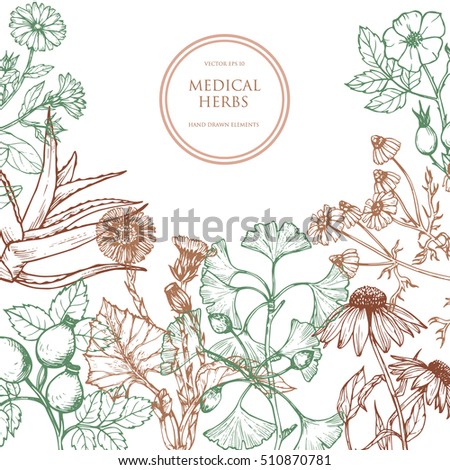 Vector design with hand drawn medical herbs.Vector card with herbal flowers illustration. Organic plants sketch background. Vintage template. Royalty-Free Stock Photo #510870781