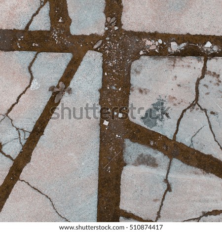 Old cobblestone background with grass /Patterned paving tiles, cement brick floor