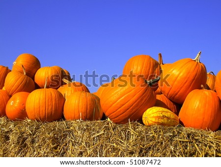 pumpkins on bales of straw against the blue cloudless sky Royalty-Free Stock Photo #51087472