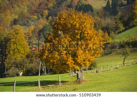 Autumn in Tuhinj, Kamnik, Slovenia