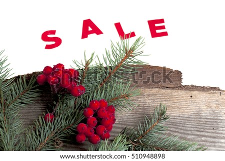 hot Sale and pine branches isolated on white background