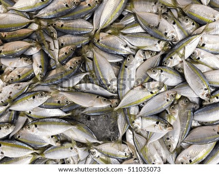 Fish in wet market.