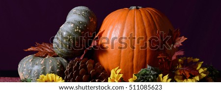 Autumn Fall pumpkins with decorations sized to fit a popular social media cover image placeholder.