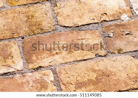   photographed close-up rectangular bricks used as a road for pedestrians. Location - on the street