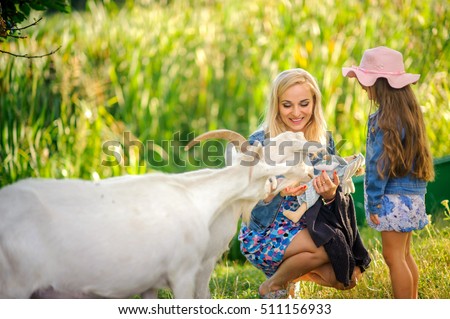 girl in a krsivy hat together with mother on the green plena plays and feeds goats, the happy smiling child, games outdoors