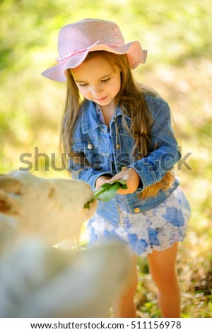 girl in a krsivy hat on the green plena plays and feeds goats, the happy smiling child, games outdoors