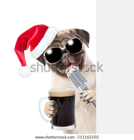 Pug puppy with beer and retro microphone in red christmas hat peeking from behind empty board. isolated on white background
