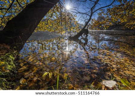 Sunrise in autumn by the lake, lake in the backlight of the rising sun, park in autumn and autumn leave in the sunlight in the morning, colorful leaves on the water, trees in the autumn by the water