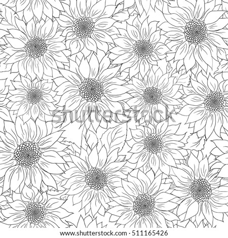 Hand drawn pattern of sunflowers background. Flower sunflower black white. Packaging, oil products from sunflower.
