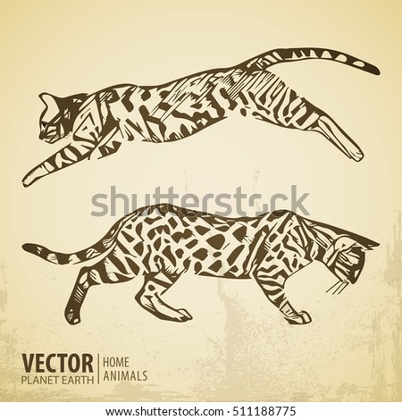 Cats collection - vector silhouette. Cats in various poses. Vintage style. Vector illustration.