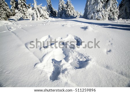 Snow angel on clean snow in the forest
