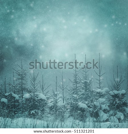 moon night background in winter forest