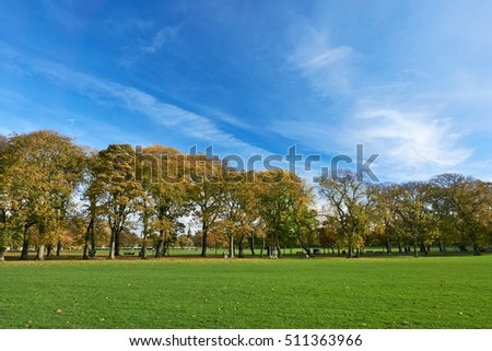 Wall-Poster Idea. Beautiful colorful autumn in the park with colorful trees and sunshine in the fall season, autumn landscape