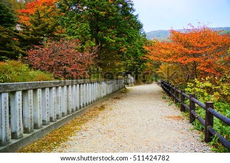 Autumn leaves, Nasu-Shiobara, Japan