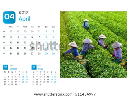 Calendar  2017, Mocchau highland, Vietnam: Moc Chau tea hill, Moc Chau village