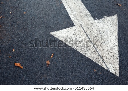 White arrow on asphalt road, traffic sign marking on roadway with autumn leaves.