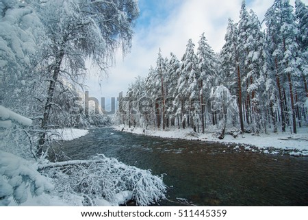 Beautiful mountain landscape river and snowy forest.