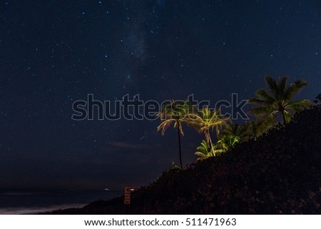 Long Exposure Star Trail Photo of Palm Trees on a Beachside Hill - with Bright Stars Covering the Sky, and Calm Ocean Waters at the Edge, in Hawaii on a Summer Night