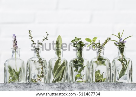 Bottle of essential oil with herbs lavender flower, basil flower,rosemary,oregano, sage, ,thyme and peppermint set up on white background . Royalty-Free Stock Photo #511487734