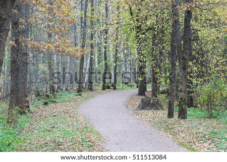 path in the autumn Park landscape copyspace photo