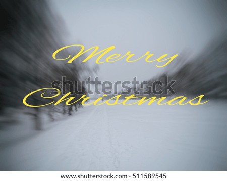  Merry Christmas. Motivation, poster, quote, blurred image.                              