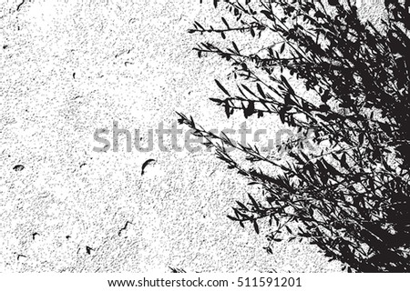 Distress Overlay Texture With Tree Branches With Leaves Silhouette. Empty Grunge Template. EPS10 vector.