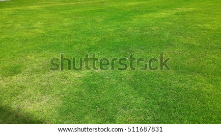 Grass texture background. artificial grass