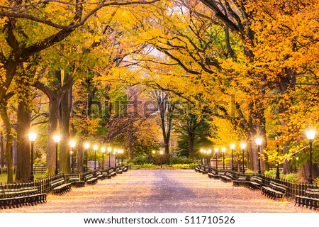 Central Park at The Mall in New York City during predawn. Royalty-Free Stock Photo #511710526