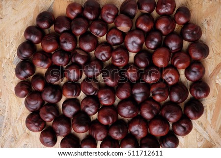 Chestnut on wooden board background