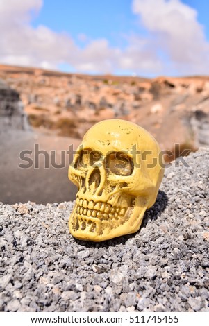 Conceptual Photo Picture of a Human Skull Object in the Dry Desert