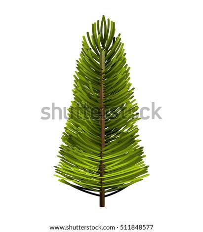 tree plant pine christmas