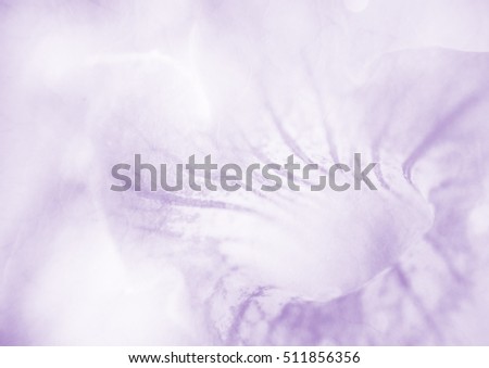 Soft flower background texture, unfocused