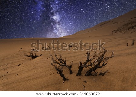 Magnificent starry sky over the desert landscape