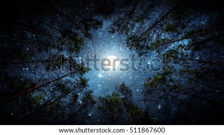 Beautiful night sky, the Milky Way, moon and the trees. Elements of this image furnished by NASA.