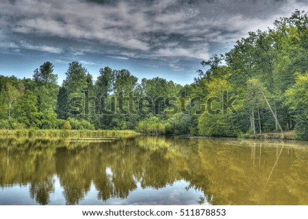 little lake in the landscape