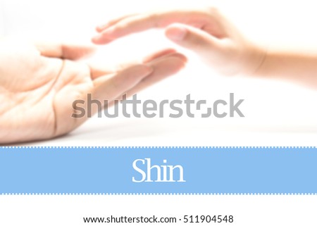 Shin - Heart shape to represent medical care as concept. The word Shin is a part of medical vocabulary in stock photo.