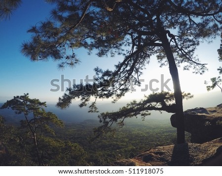 Forests in Thailand