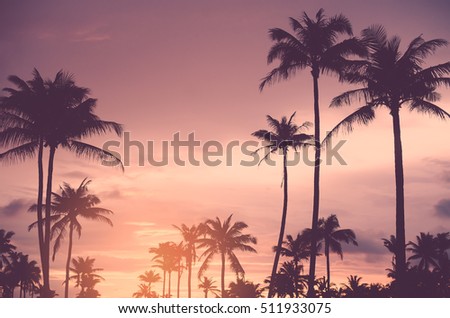 Copy space of tropical palm tree with sun light on sunset sky background. Summer vacation and nature travel concept. Vintage tone filter color style.