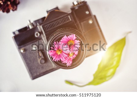 Vintage film camera, pink flowers and film on white background