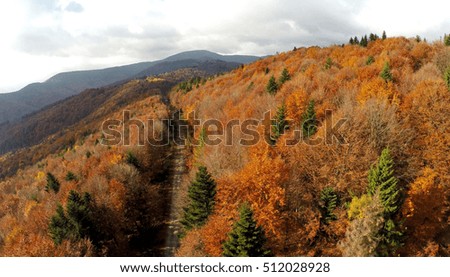 aerial view of the Carpathian mountains in autumn