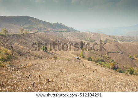 Mountain of dry land of agricultural at summer season in Tropicana country