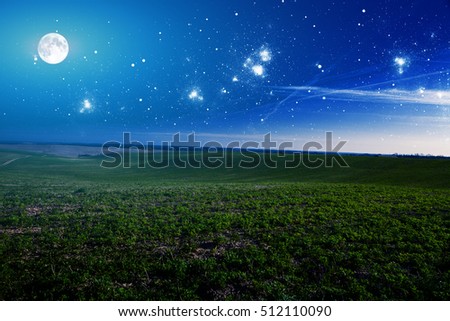 green night field. star sky