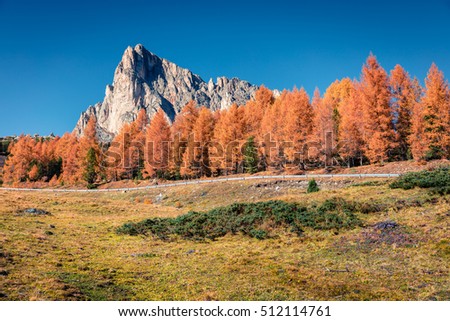 Fantastic sunny view of Dolomite Alps with yellow larch trees. Colorful autumn scene in mountains. Giau pass location, Italy, Europe. Artistic style post processed photo.
