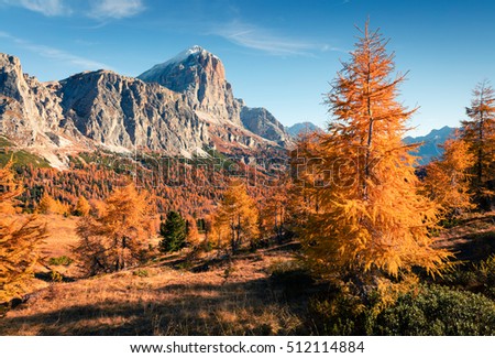 Splendid view  from top of Falzarego pass with Lagazuoi mountain. Colorful autumn morning in Dolomite Alps, Cortina d'Ampezzo lacation, Italy, Europe. Artistic style post processed photo.
