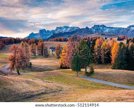 Incredible outdoor scene in Alpe di Siusi with beautiful yellow larch trees and Rosengarten mountain range on background. Colorful autumn morning in Dolomite Alps, Ortisei location, Italy, Europe. 