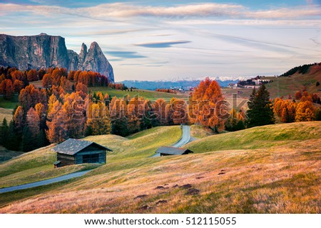 Incredible outdoor scene in Alpe di Siusi with beautiful yellow larch trees and Schlern (Sciliar) mountain on background. Colorful autumn morning in Dolomite Alps, Ortisei location, Italy, Europe. 