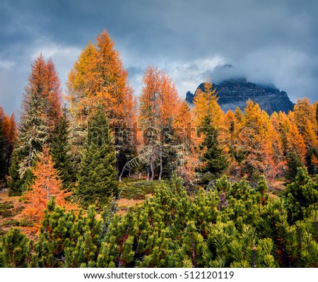 Misty morning scene in National Park Tre Cime di Lavaredo. Colorful autumn landscape in Dolomite Alps, South Tyrol, Location Auronzo, Italy, Europe. Artistic style post processed photo.